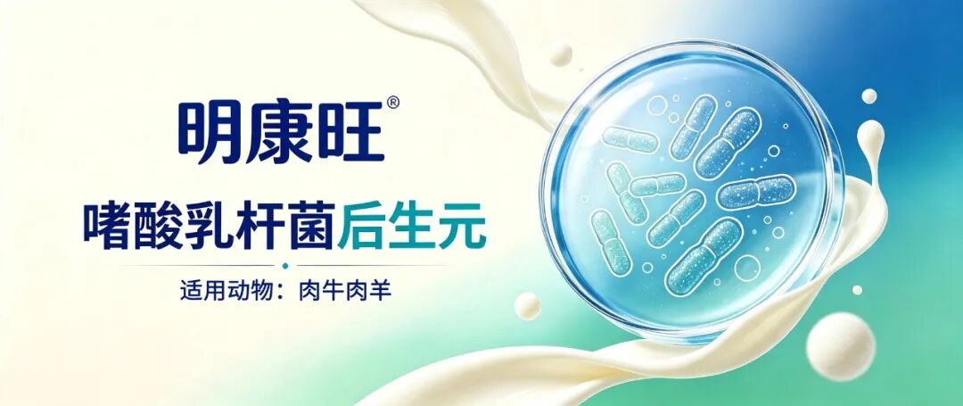 ABUIABACGAAg_MWf1AYohum0lwUwuAg4xwM 图片