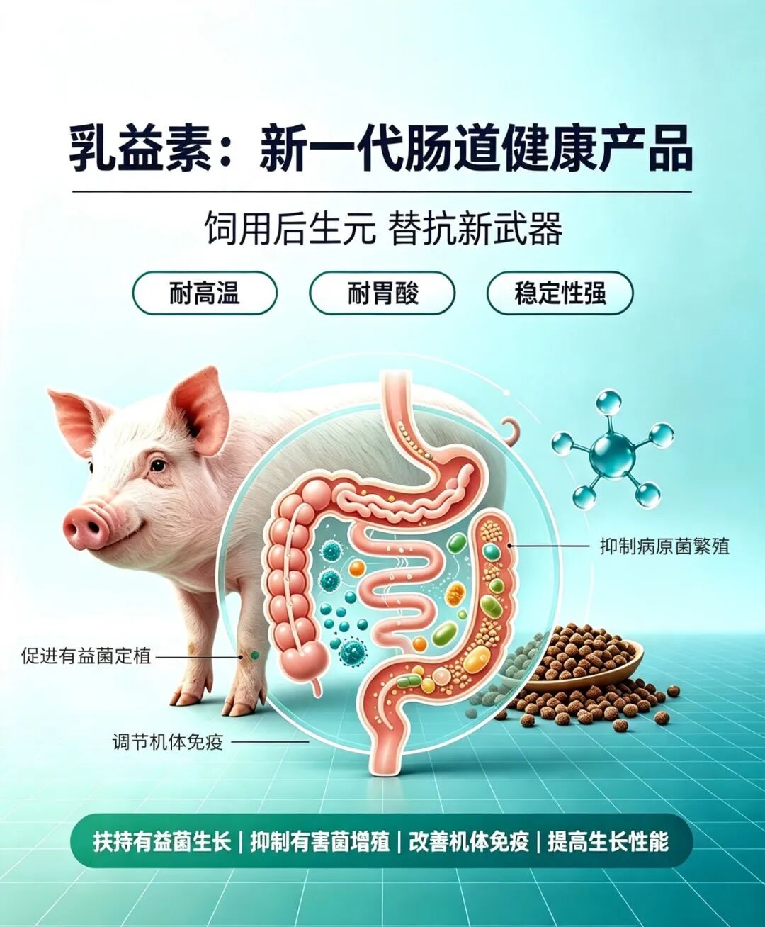 ABUIABACGAAgl7L00wYohoGk2QcwuAg4nAo 图片